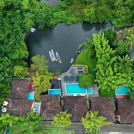 Athirapally Green Trees Athirappilly Eksteriør billede